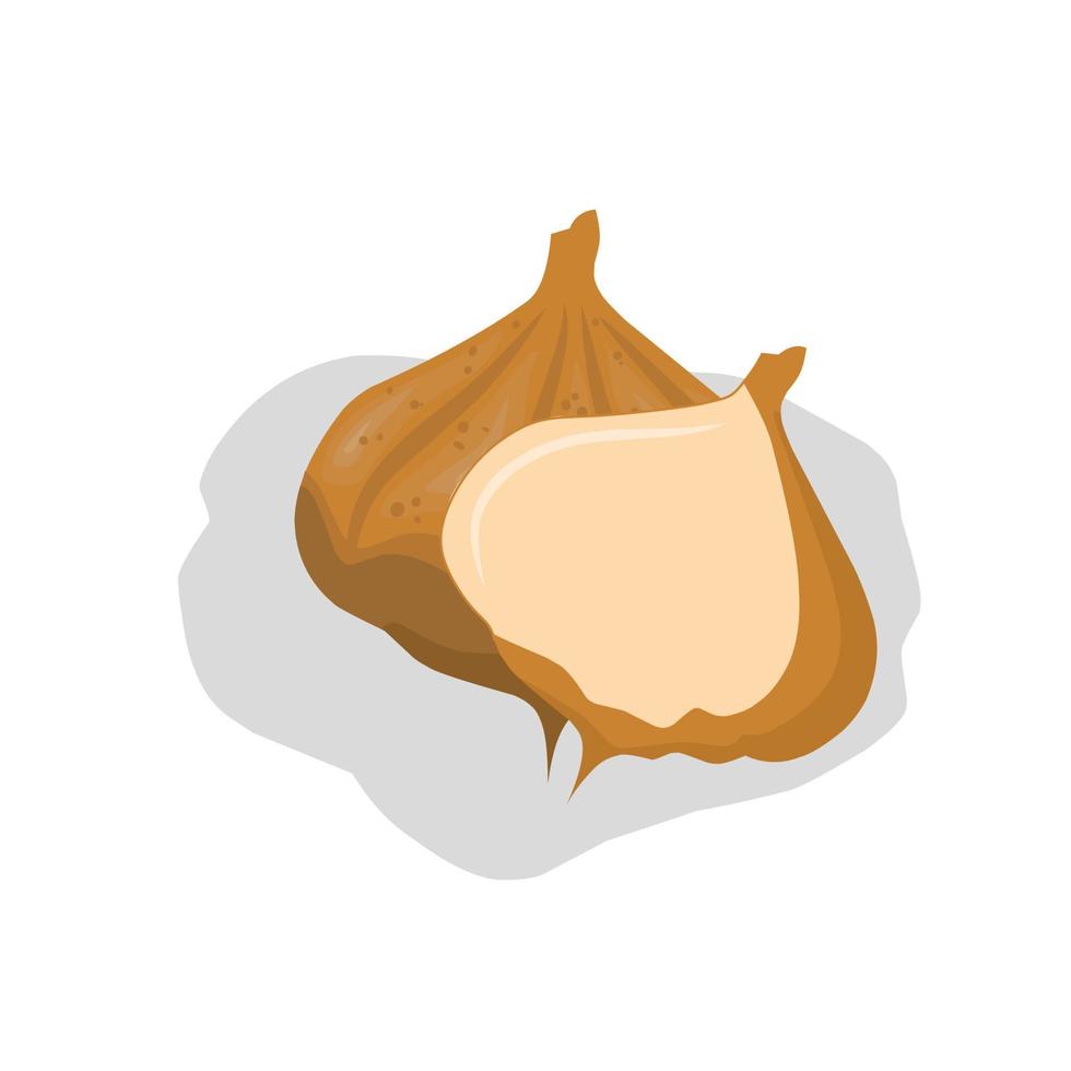 illustration de haricot d'igname .icône de haricot d'igname.fruits vecteur