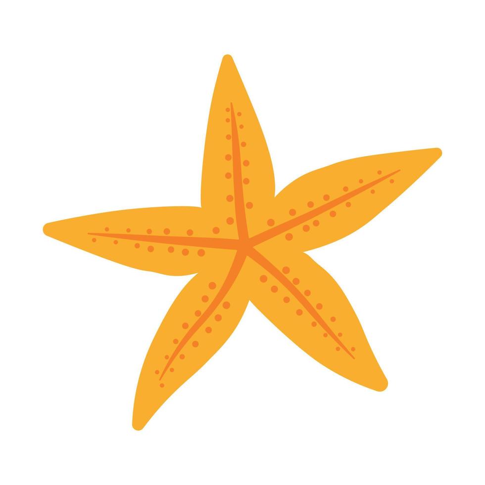 dessin étoile de mer animaux marins clipart image d'illustration vectorielle vecteur