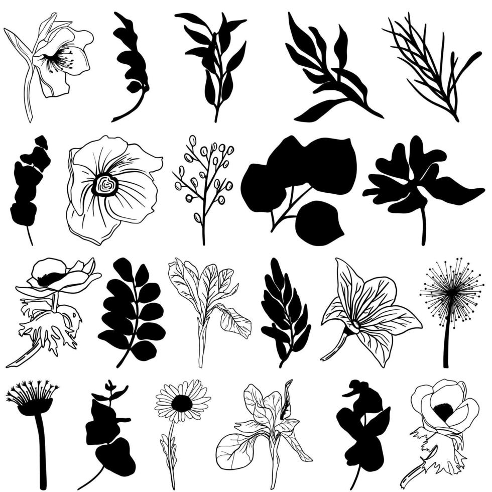 ensemble de dessins au trait d'herbes, de feuilles, de fleurs ou de baies, graphiques en noir et blanc. utiliser pour les impressions de t-shirts, les logos, les cosmétiques et la beauté, les invitations de mariage, les affiches, le logo vecteur