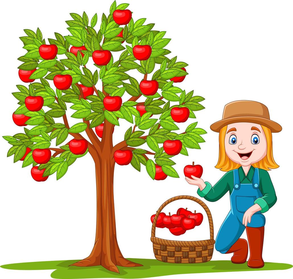 agricultrice ramassant des pommes dans un panier vecteur
