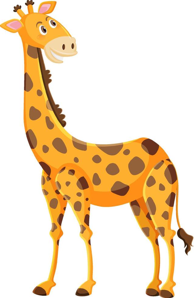 dessin animé mignon girafe sur fond blanc vecteur