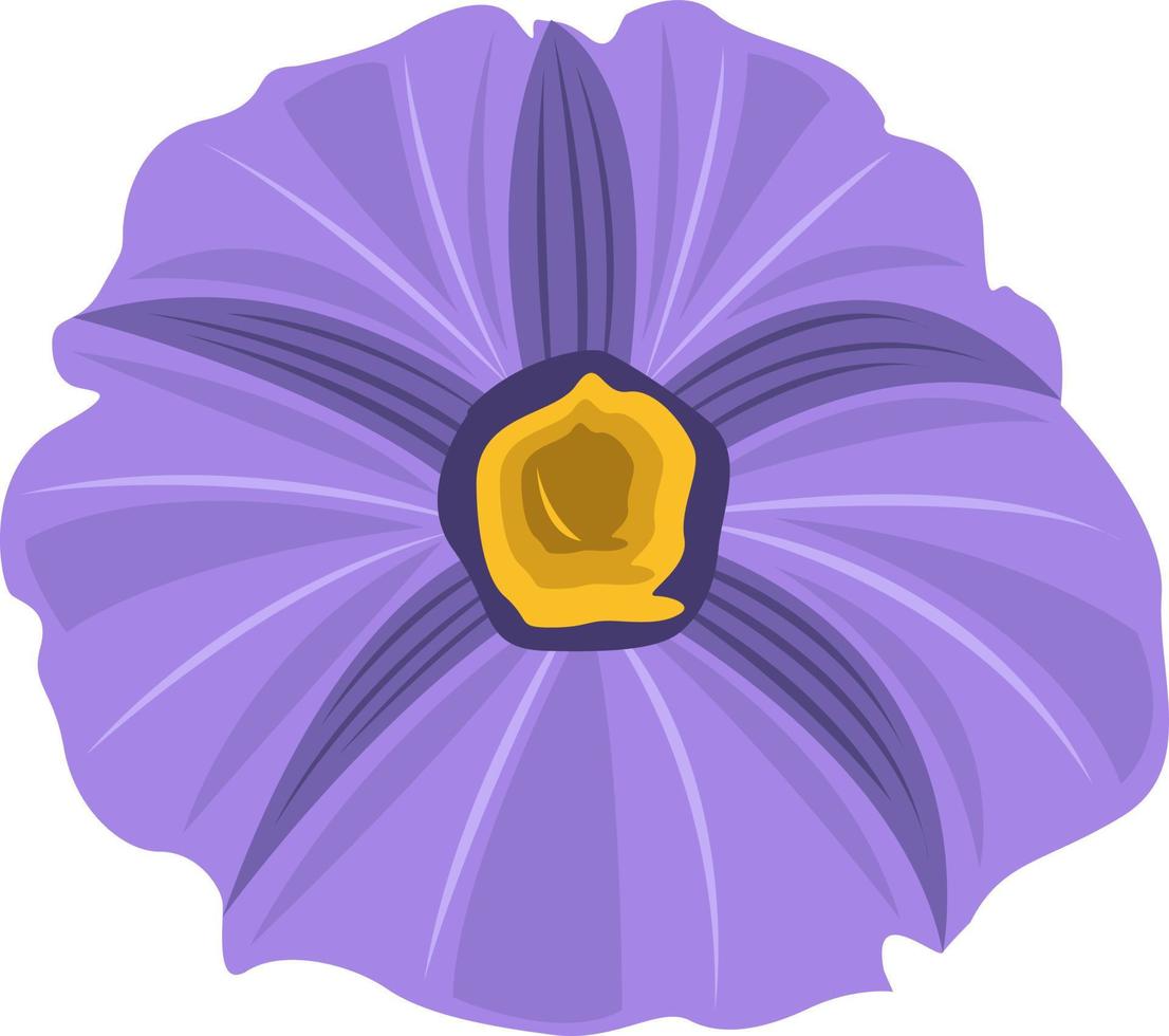 art vectoriel de fleur de morelle du paraguay pour la conception graphique et l'élément décoratif