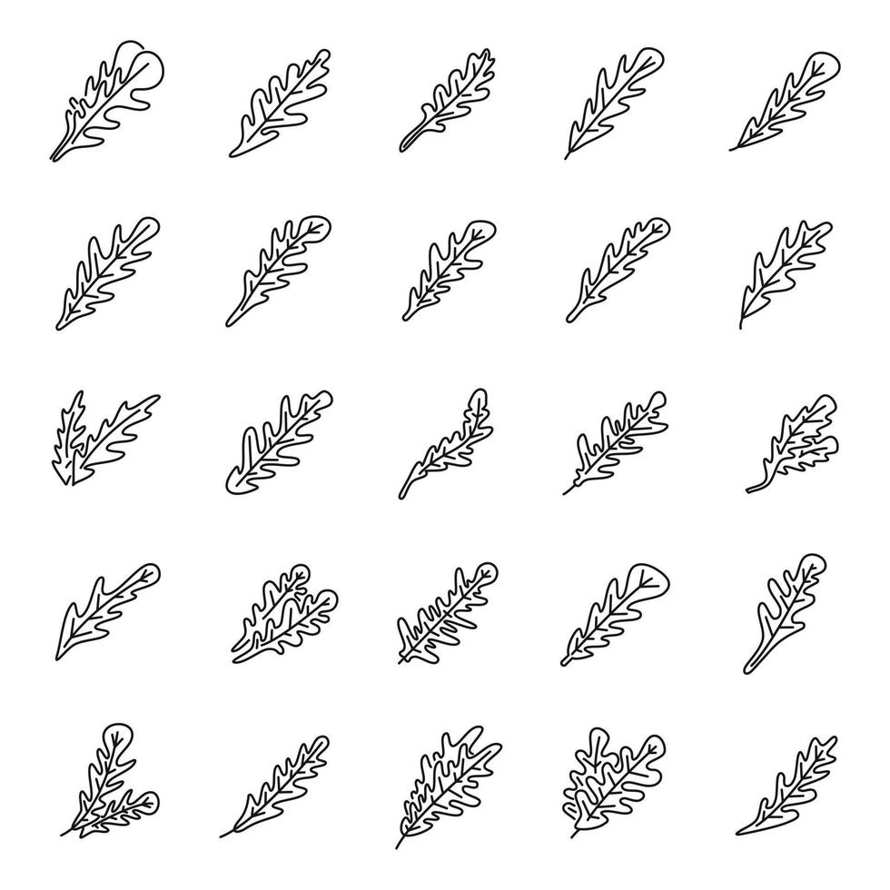 les icônes de feuille de roquette définissent le vecteur de contour. plant de salade