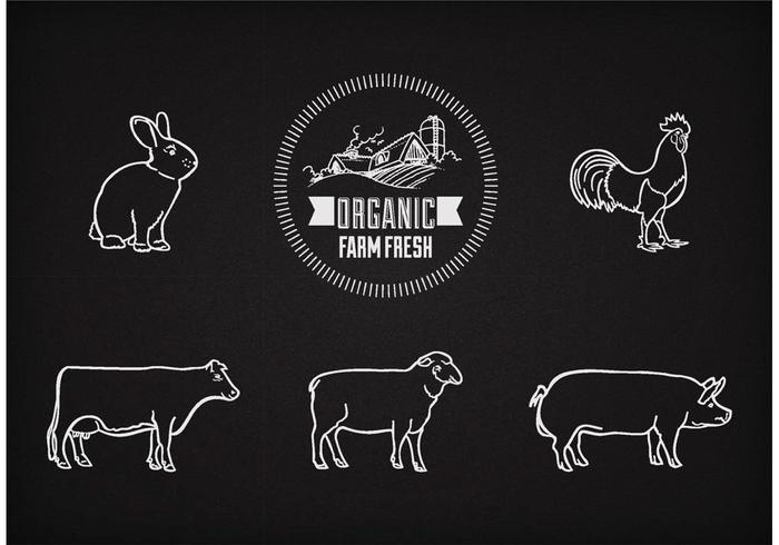 Animaux de la ferme Vector Free On Chalkboard