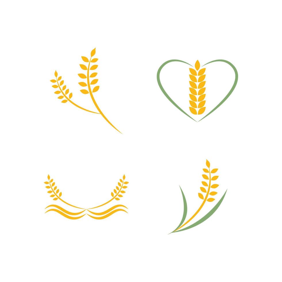 création de logo de blé agricole vecteur