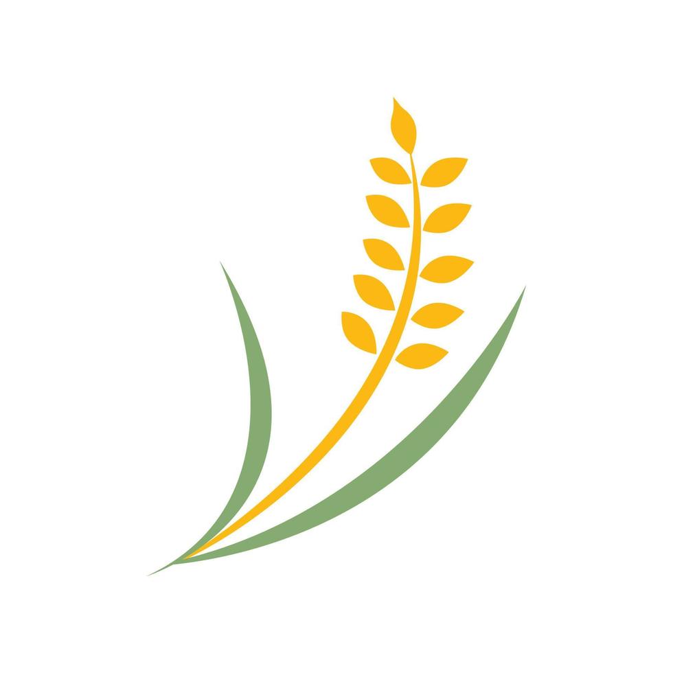 création de logo de blé agricole vecteur