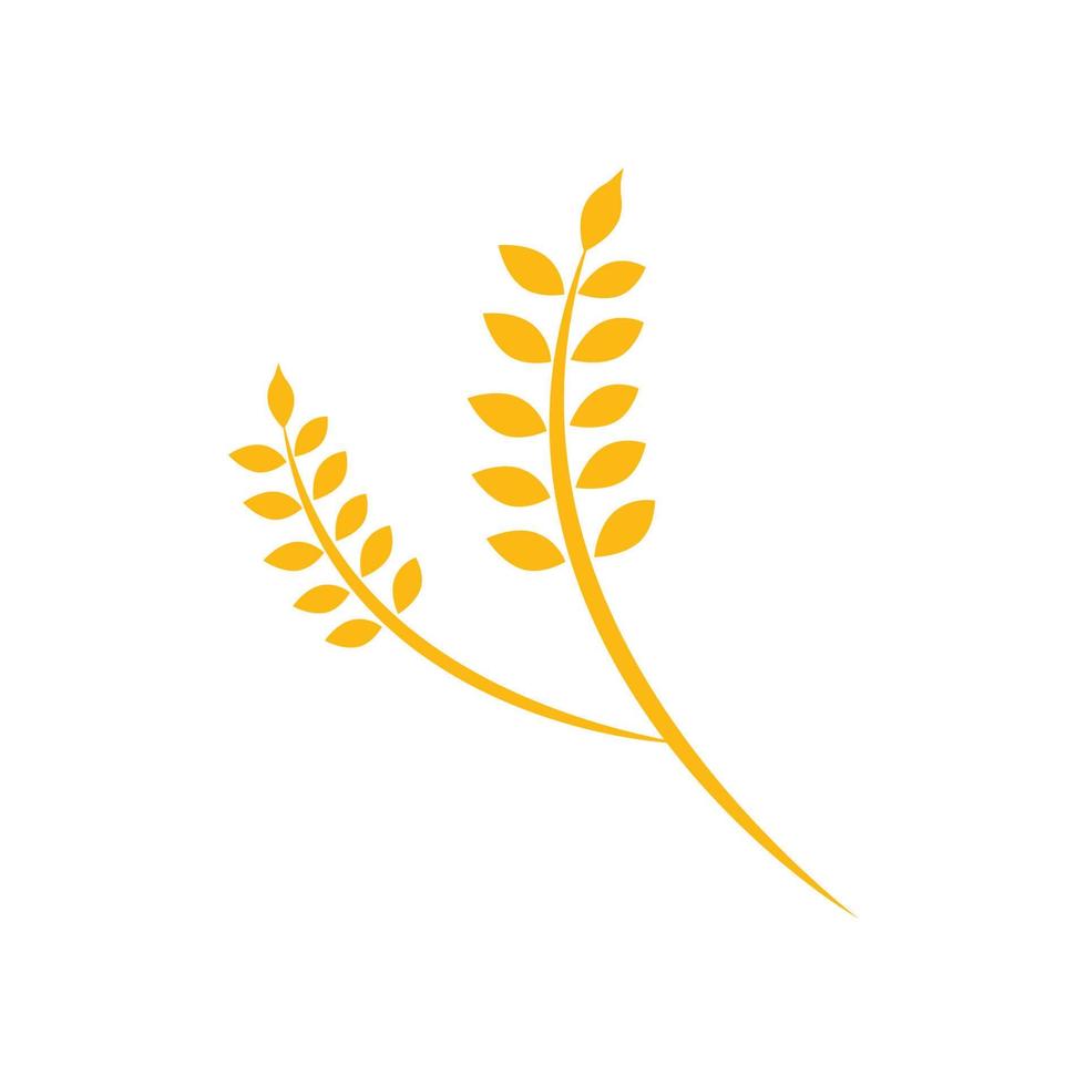création de logo de blé agricole vecteur