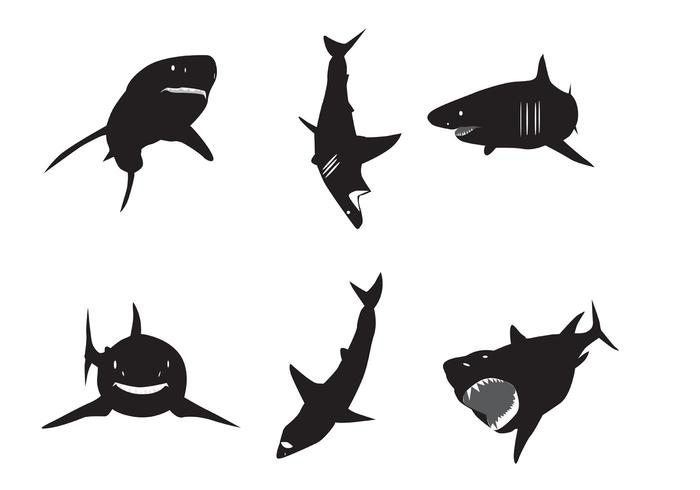 Vector Silhouettes de grands requins blancs