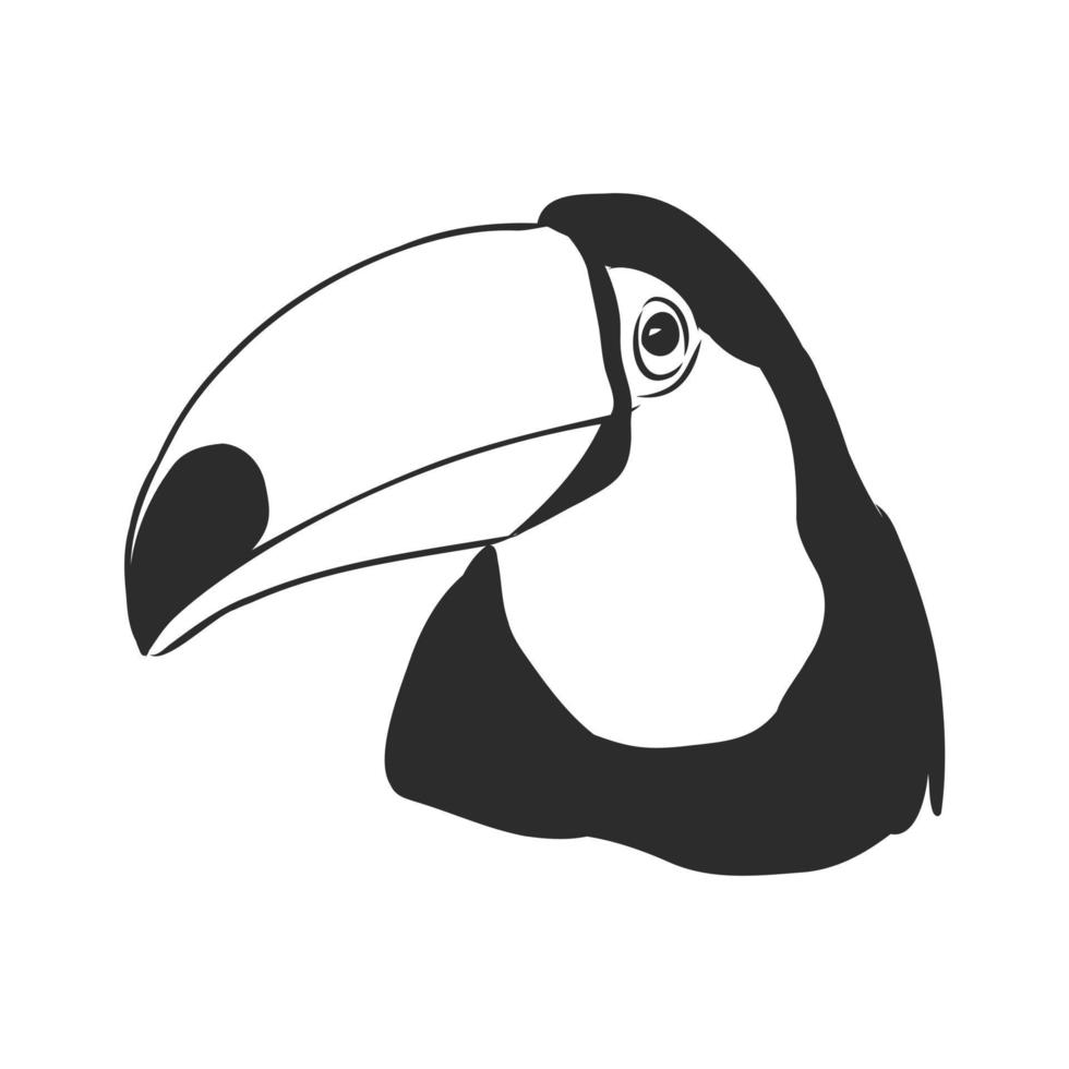 croquis de vecteur de toucan