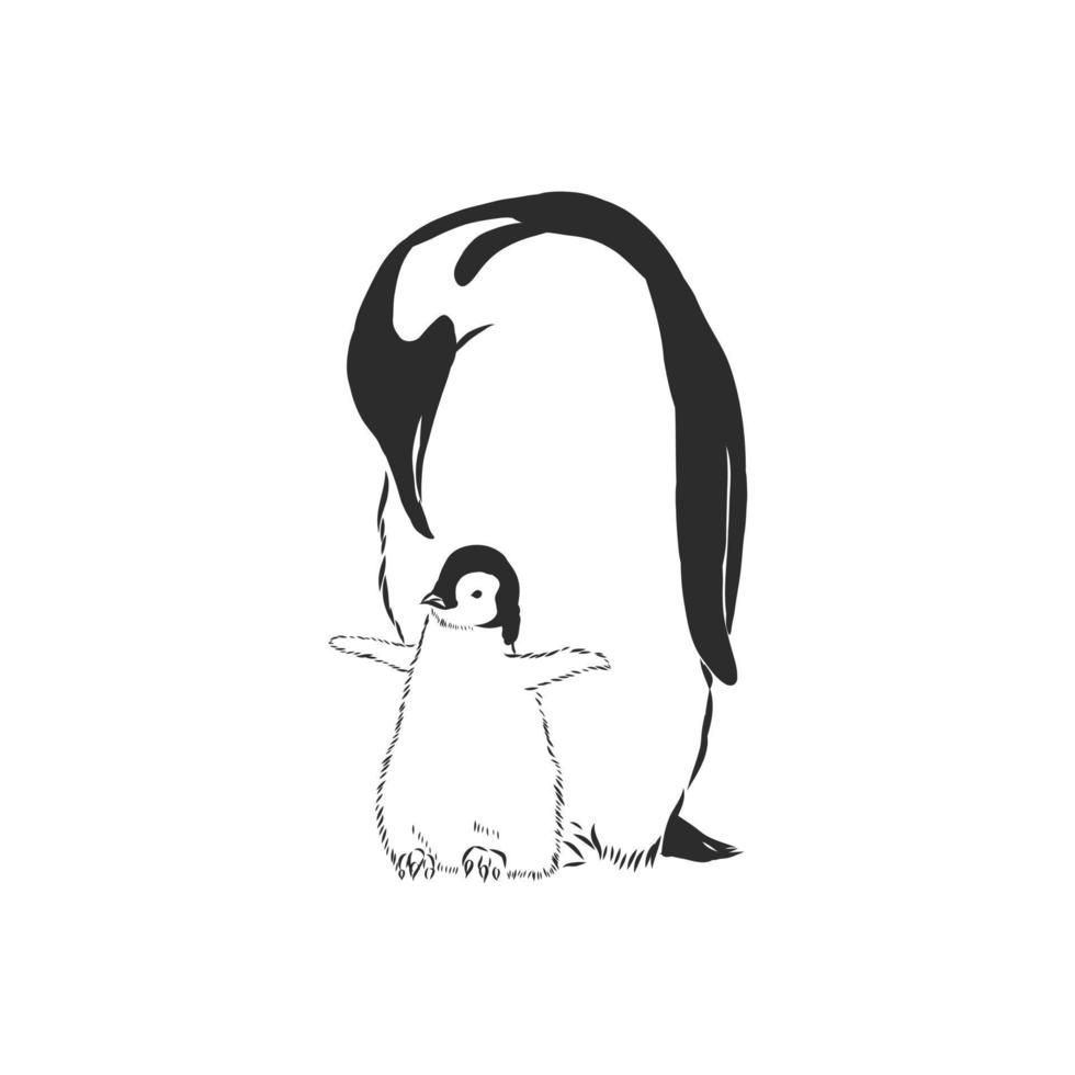 croquis de vecteur de pingouin