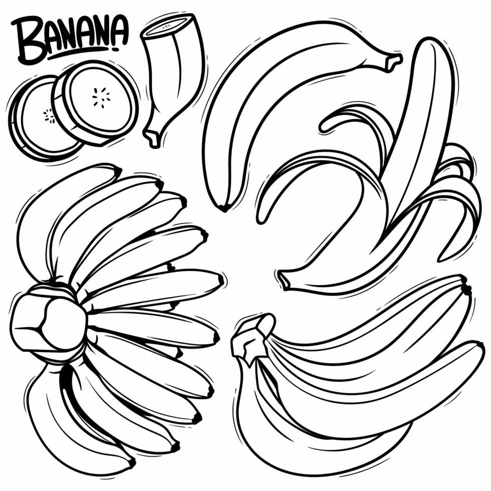 dessin au trait vectoriel de doodle de banane dessiné à la main.