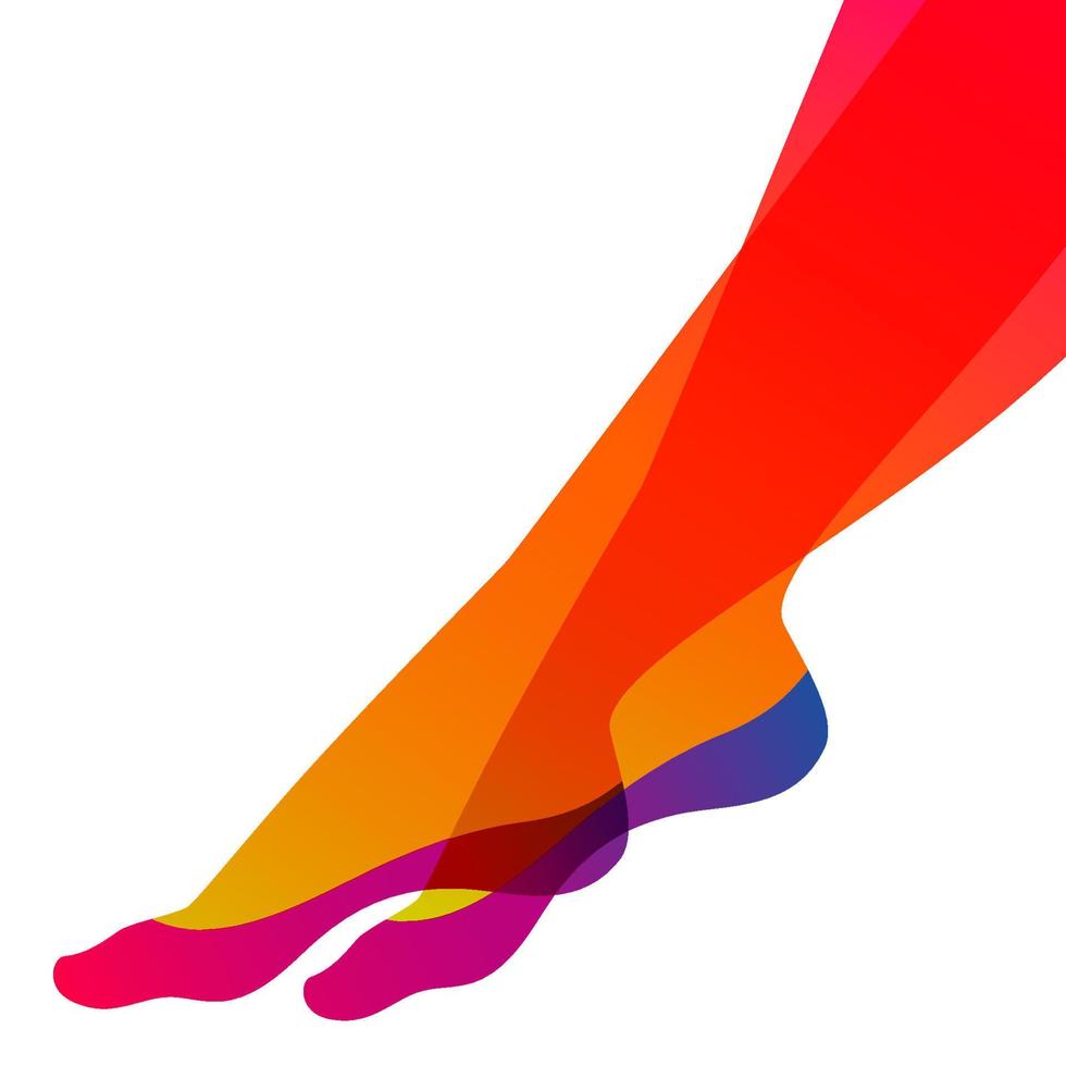 jambes féminines longues et minces dans des chaussettes invisibles sur fond blanc, illustration vectorielle. vecteur