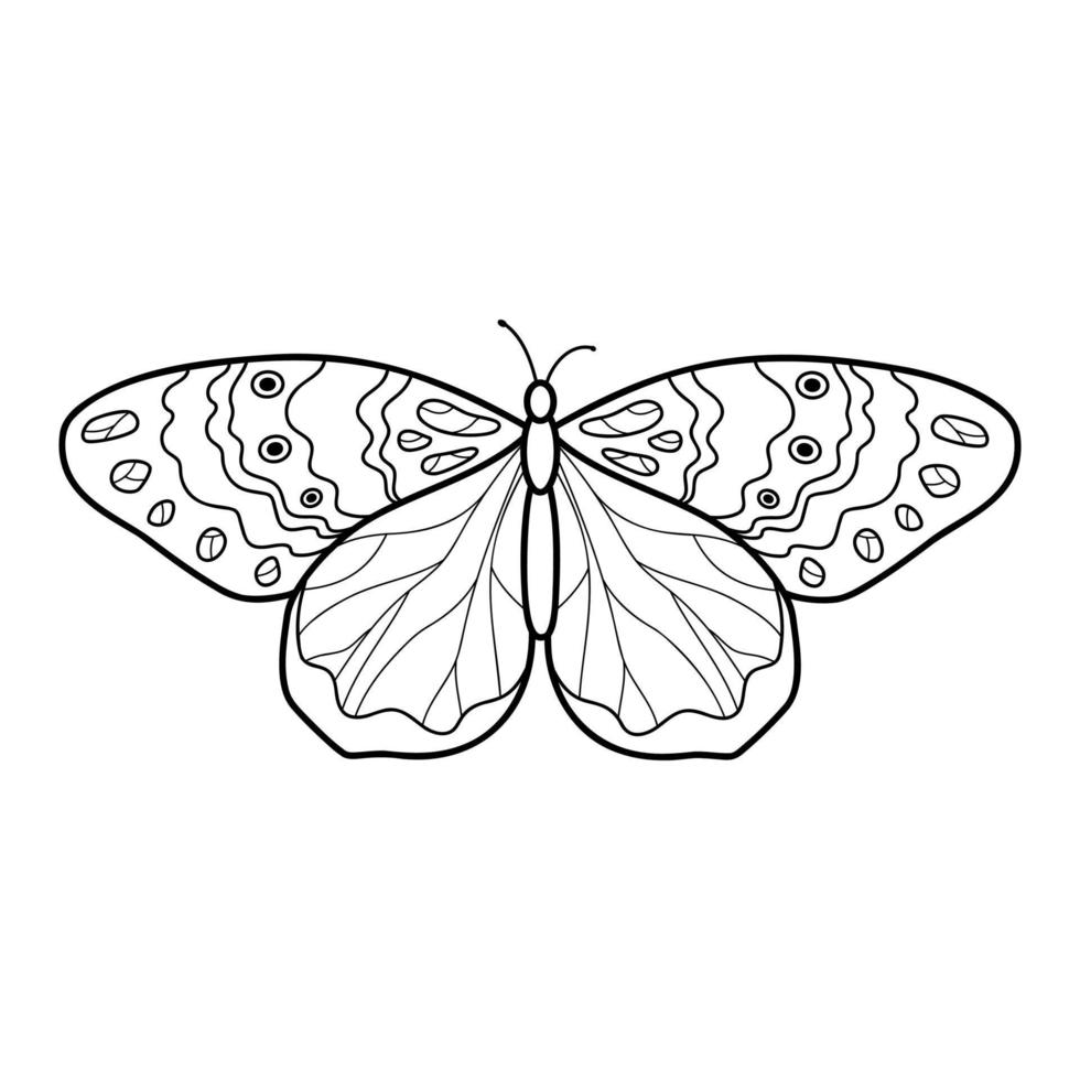 livre de coloriage ou page pour les enfants. papillon noir et blanc vecteur