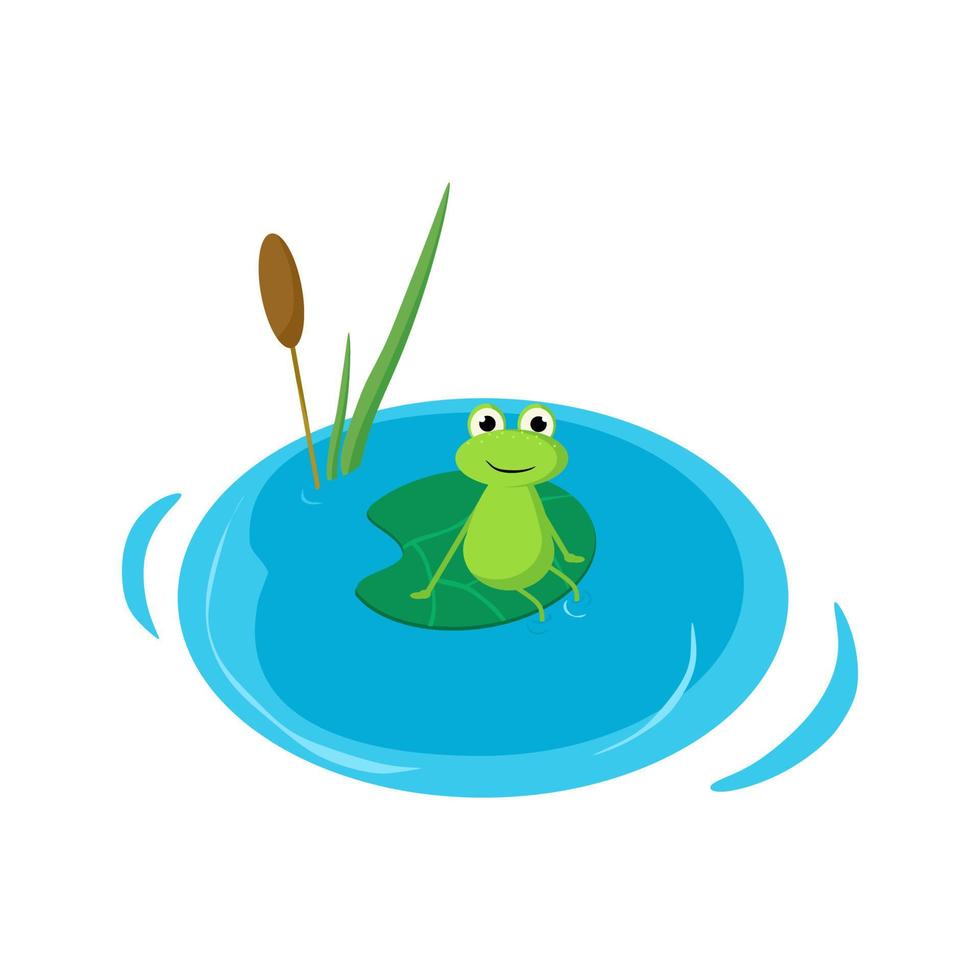 une grenouille médite sur un nénuphar. illustration vectorielle en style cartoon vecteur