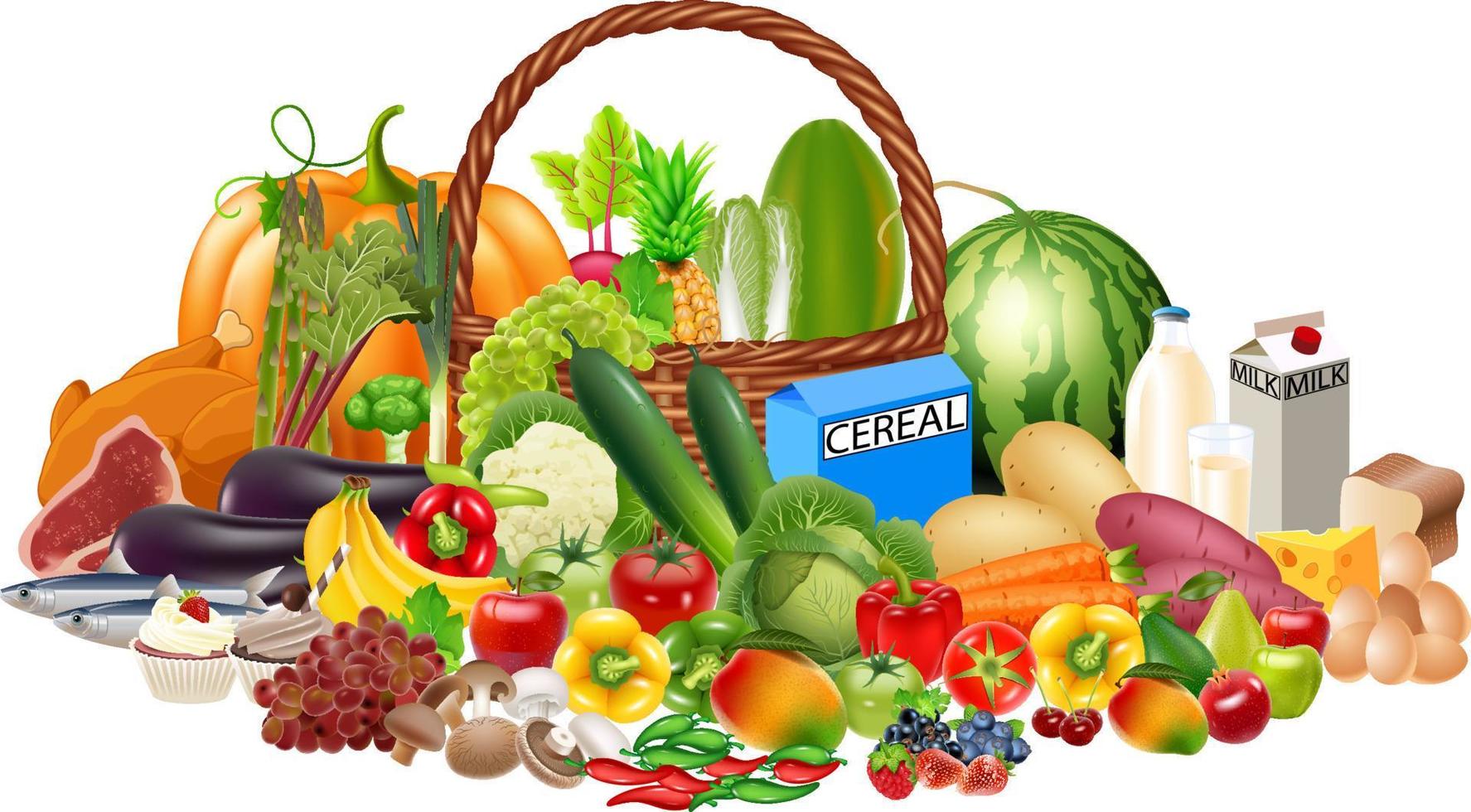 les aliments sains de dessin animé contiennent des fruits et légumes, des protéines, des glucides et du lait vecteur
