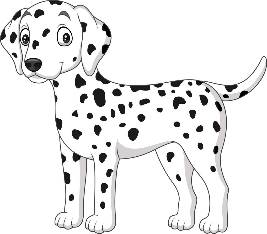 dessin animé mignon chien dalmatien isolé sur fond blanc vecteur