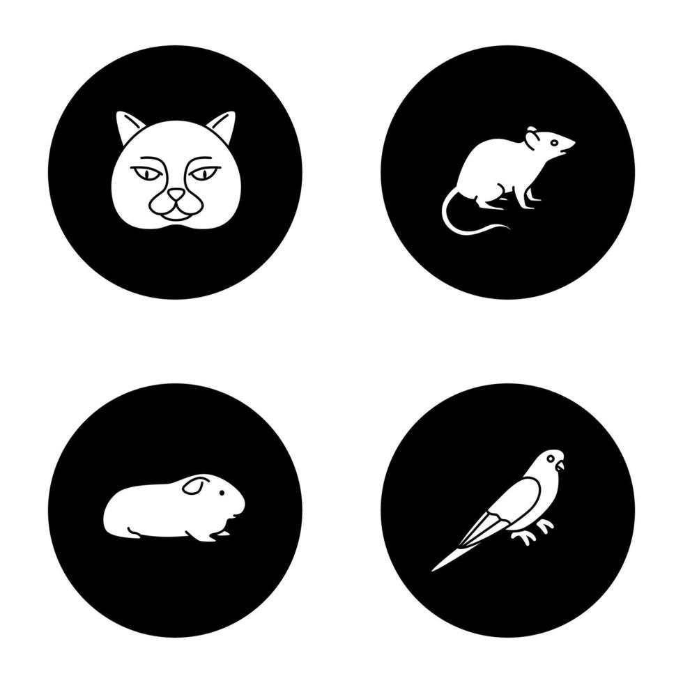 jeu d'icônes de glyphe d'animaux de compagnie. chat britannique, souris, cavy, perruche. illustrations de silhouettes blanches vectorielles dans les cercles noirs vecteur