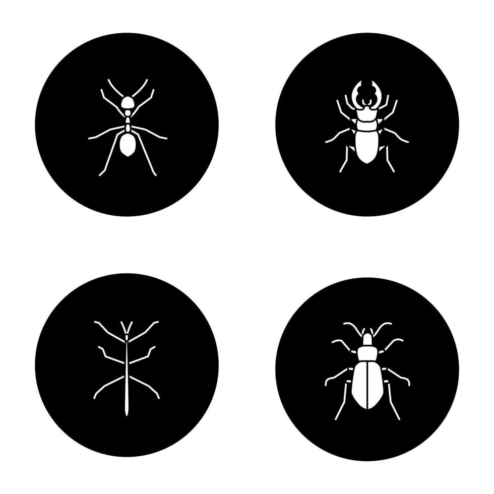 ensemble d'icônes de glyphe d'insectes. fourmi, lucane, punaise terrestre, phasme. illustrations de silhouettes blanches vectorielles dans les cercles noirs vecteur