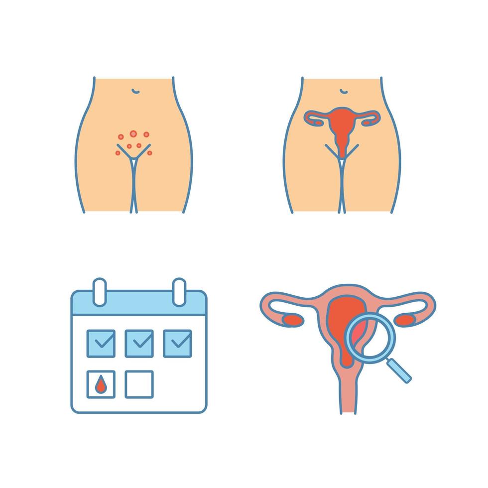 ensemble d'icônes de couleur gynécologique. éruption génitale, système reproducteur féminin, calendrier menstruel, examen gynécologique. illustrations vectorielles isolées vecteur