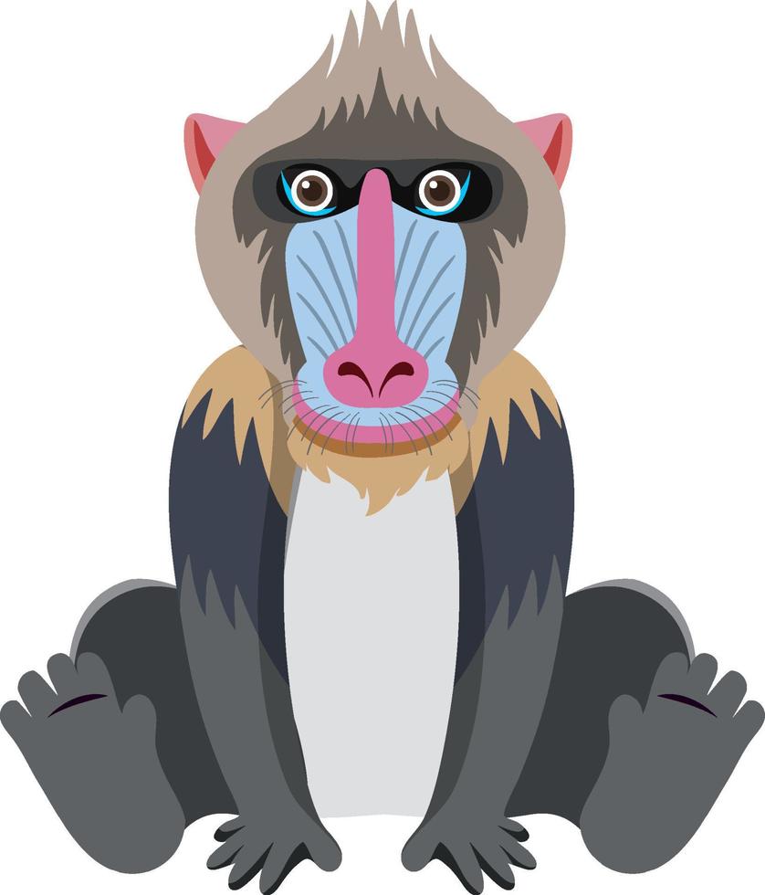 mandrill mignon dans un style plat vecteur