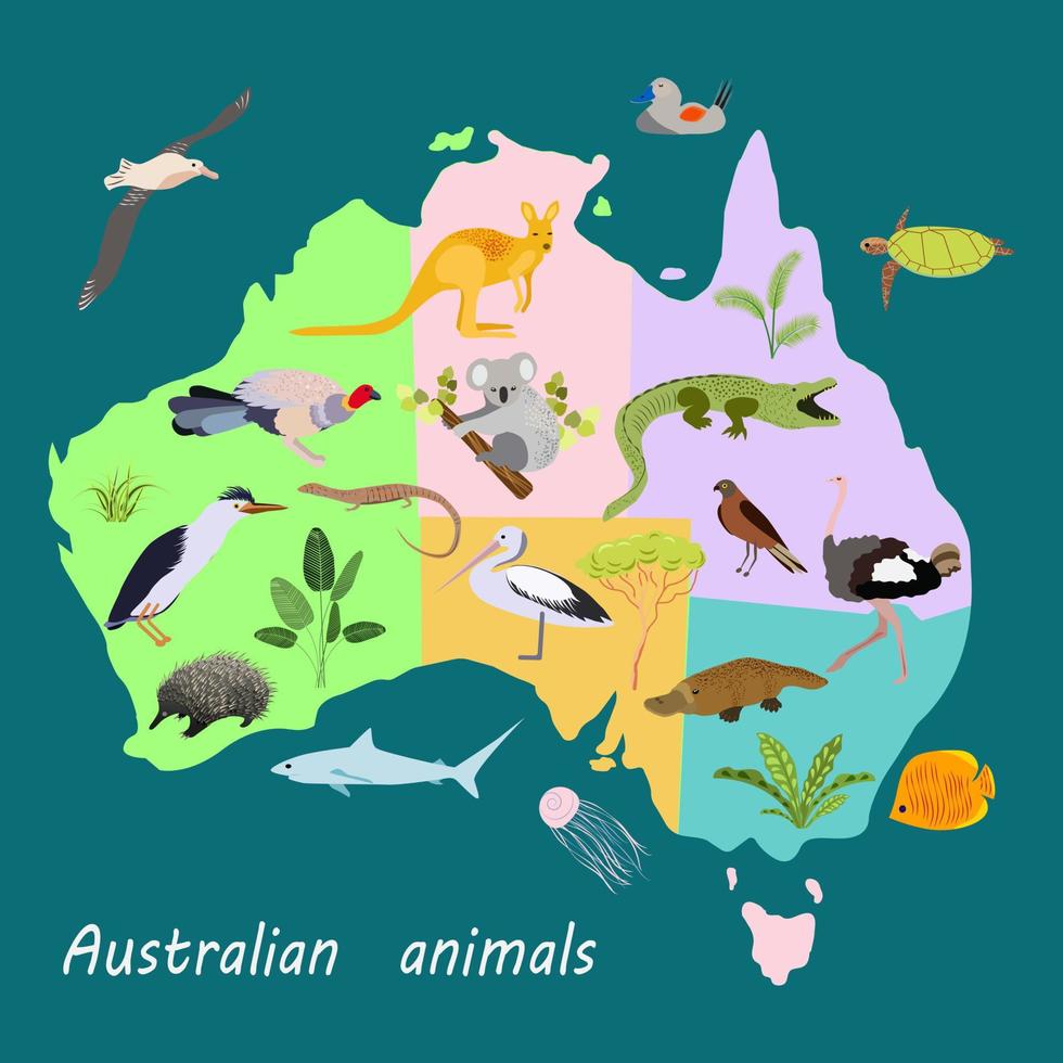 paysage australien. plantes, animaux et arbres. vecteur