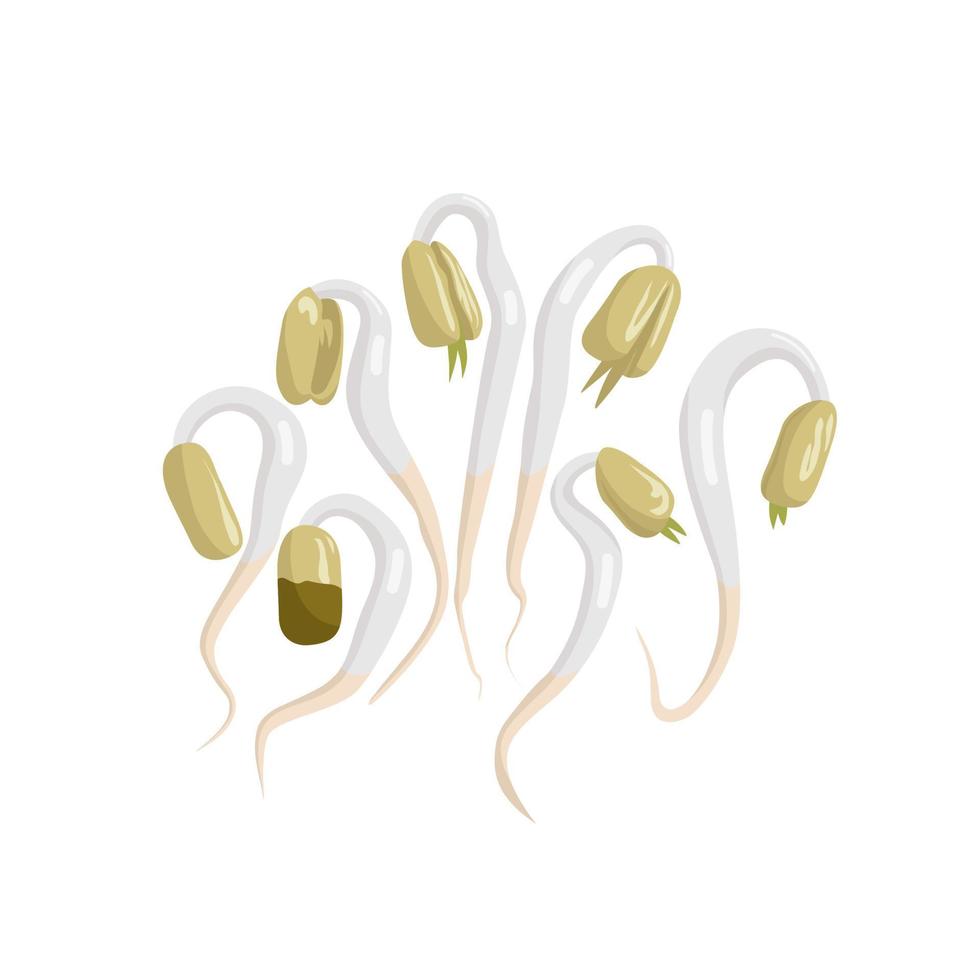 illustration vectorielle de germes de soja, un légume culinaire à base de haricots verts fraîchement cultivés, isolés sur fond blanc. vecteur