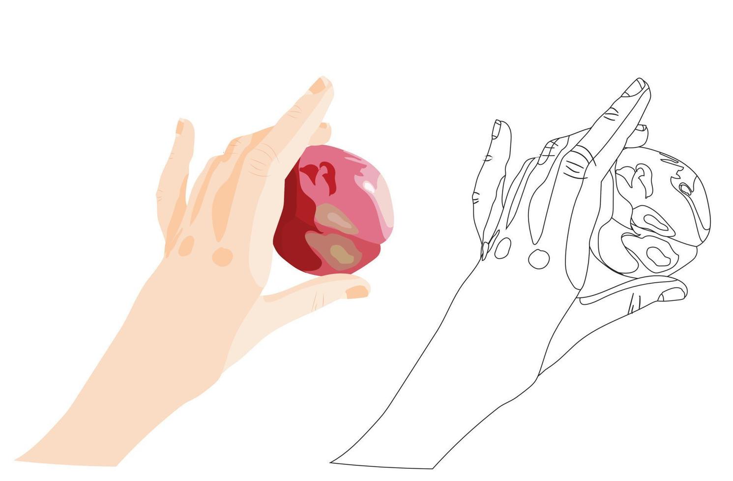 dans une main gracieuse, une pomme rouge mûre. coloration. illustration vectorielle stock isolée sur fond blanc. vecteur