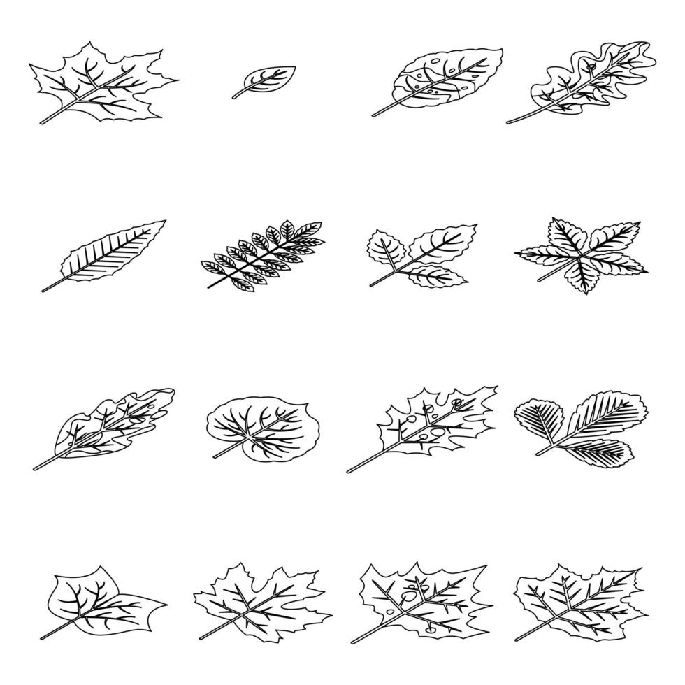 feuilles d'automne icônes définies contour vectoriel