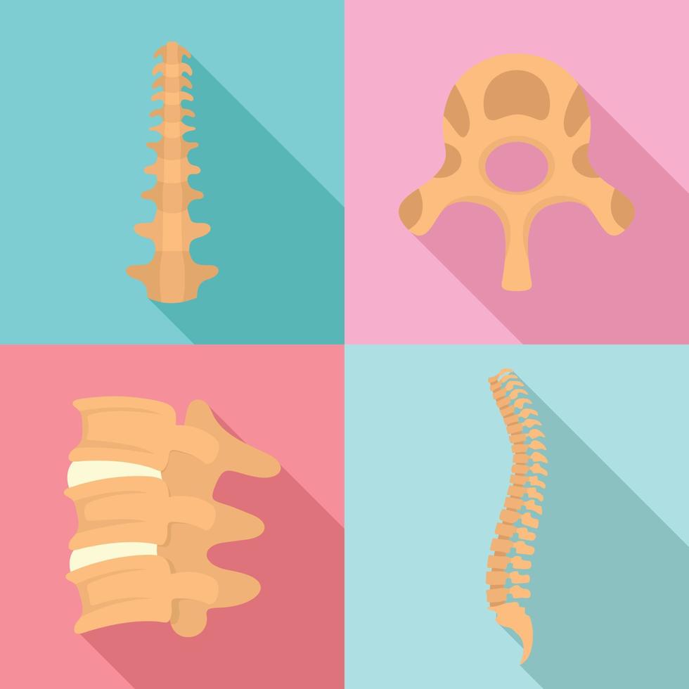 ensemble d'icônes de vertèbre orthopédique de la colonne vertébrale, style plat vecteur