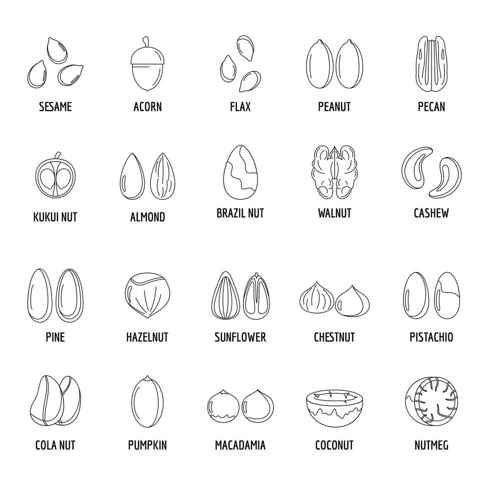 les types de noix avec des icônes de noms signés définissent le style de contour vecteur