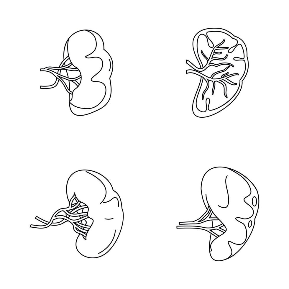 Ensemble d'icônes d'anatomie de la laitance de la rate, style de contour vecteur