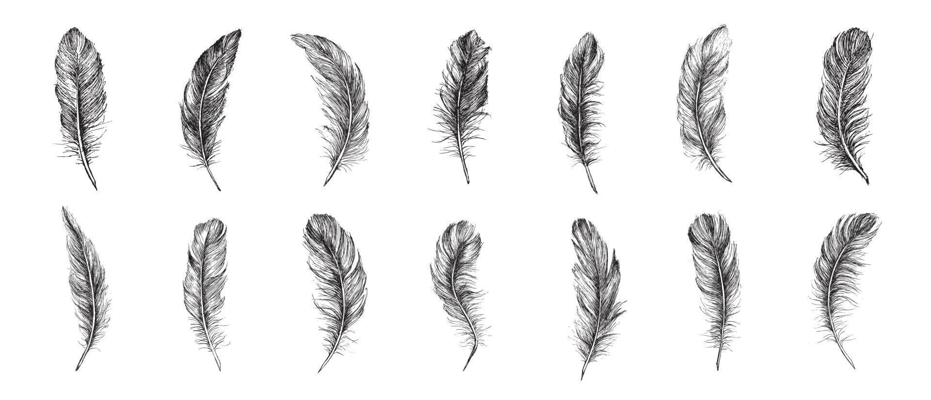 motif de plumes noir et blanc de vecteur, style dessiné à la main, illustration vectorielle. vecteur