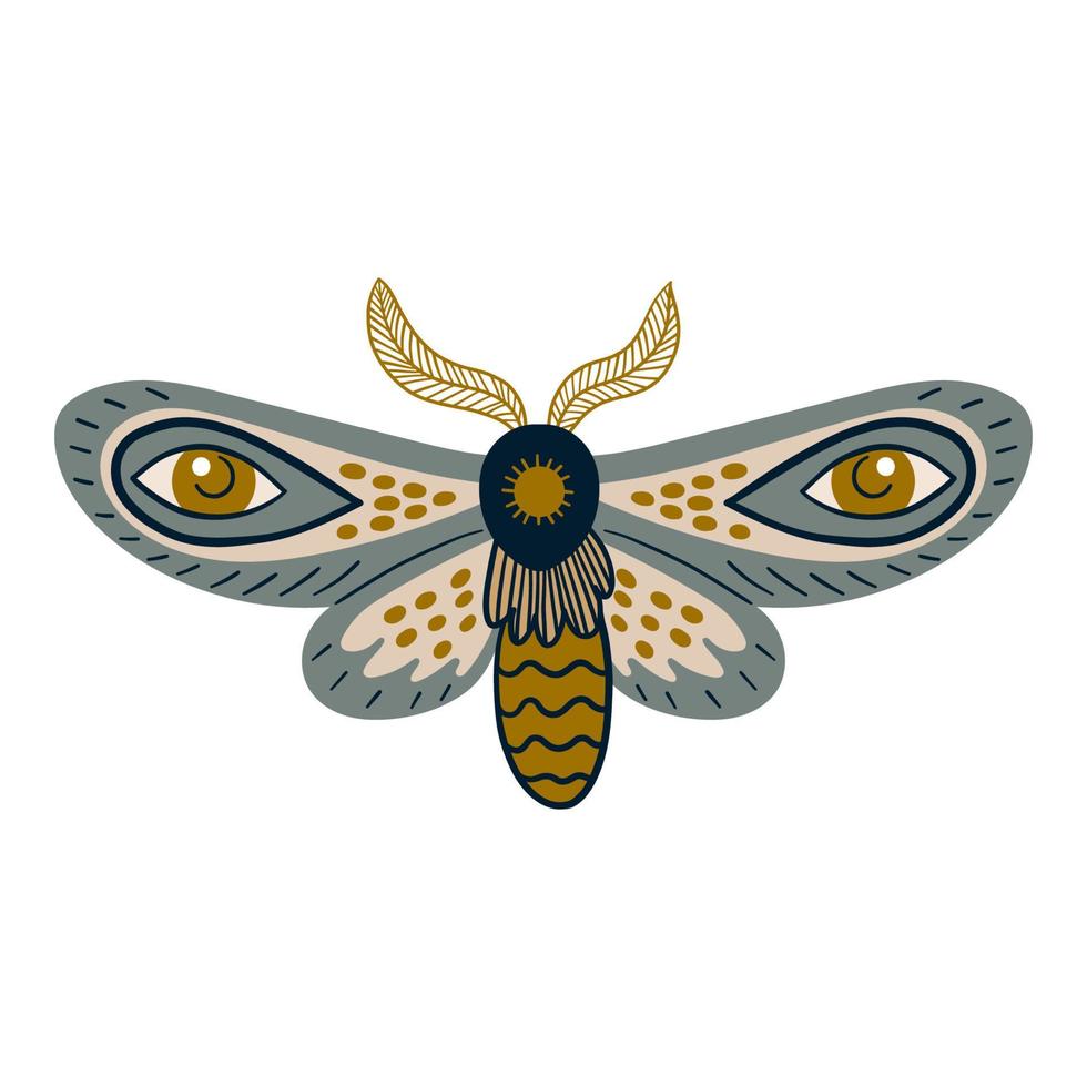 papillon céleste dessiné à la main ou papillon magique. insecte mystique vecteur