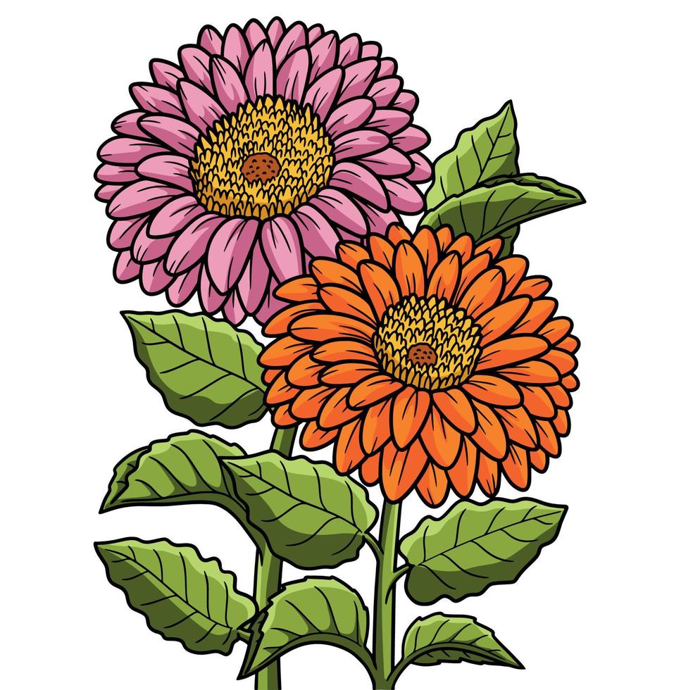 gerbera fleur dessin coloré clipart vecteur