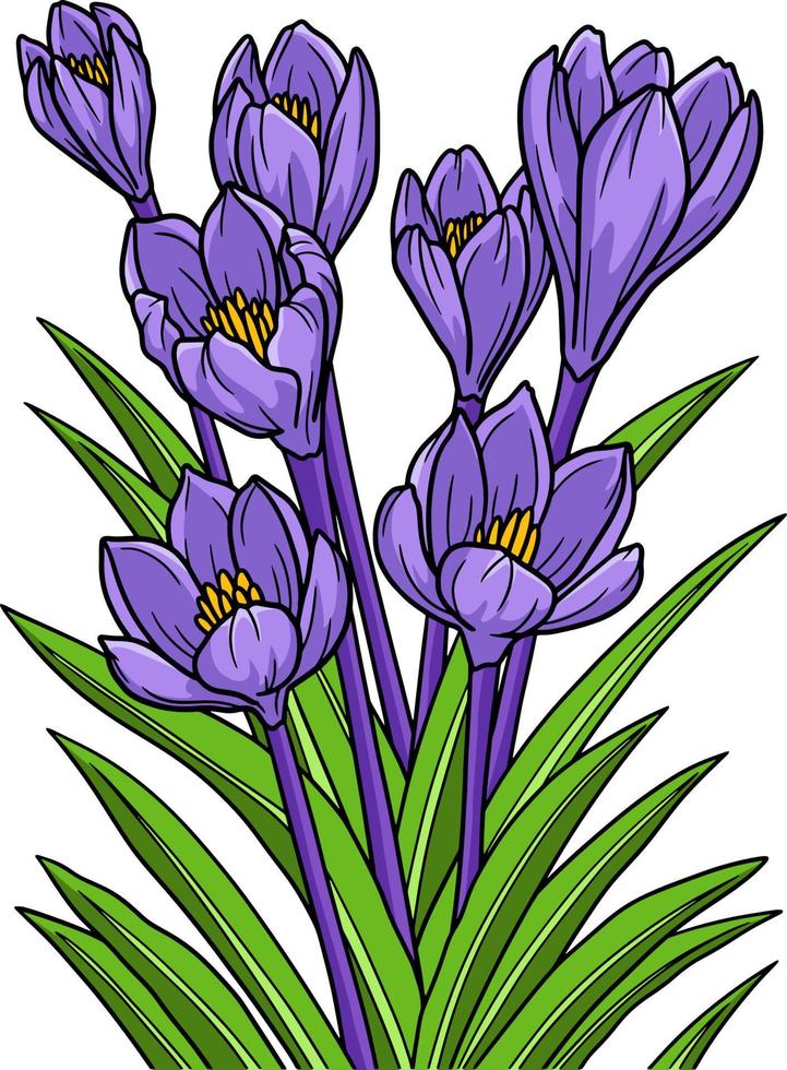 crocus fleur dessin animé couleur clipart illustration vecteur