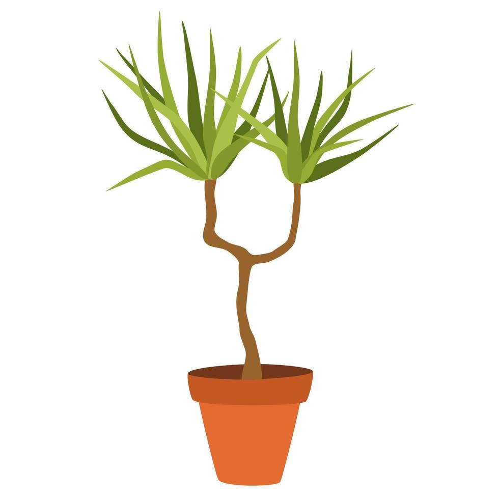 plante d'intérieur en pot. plante d'intérieur à feuillage poussant dans un pot de fleurs. décoration de feuille verte pour l'intérieur de la maison. décor intérieur naturel. main dessiner illustration vectorielle isolée sur fond blanc vecteur