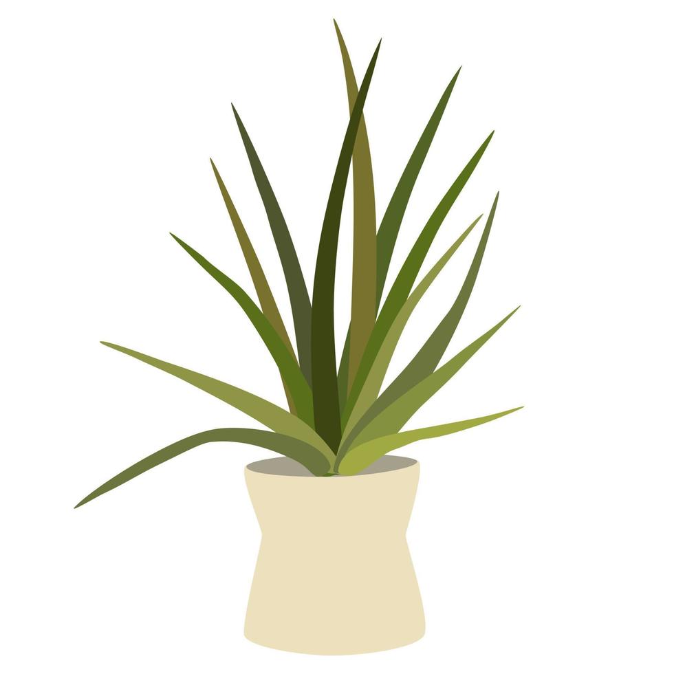 plante d'intérieur en pot. plante d'intérieur à feuillage poussant dans un pot de fleurs. décoration de feuille verte pour l'intérieur de la maison. décor intérieur naturel. main dessiner illustration vectorielle isolée sur fond blanc vecteur