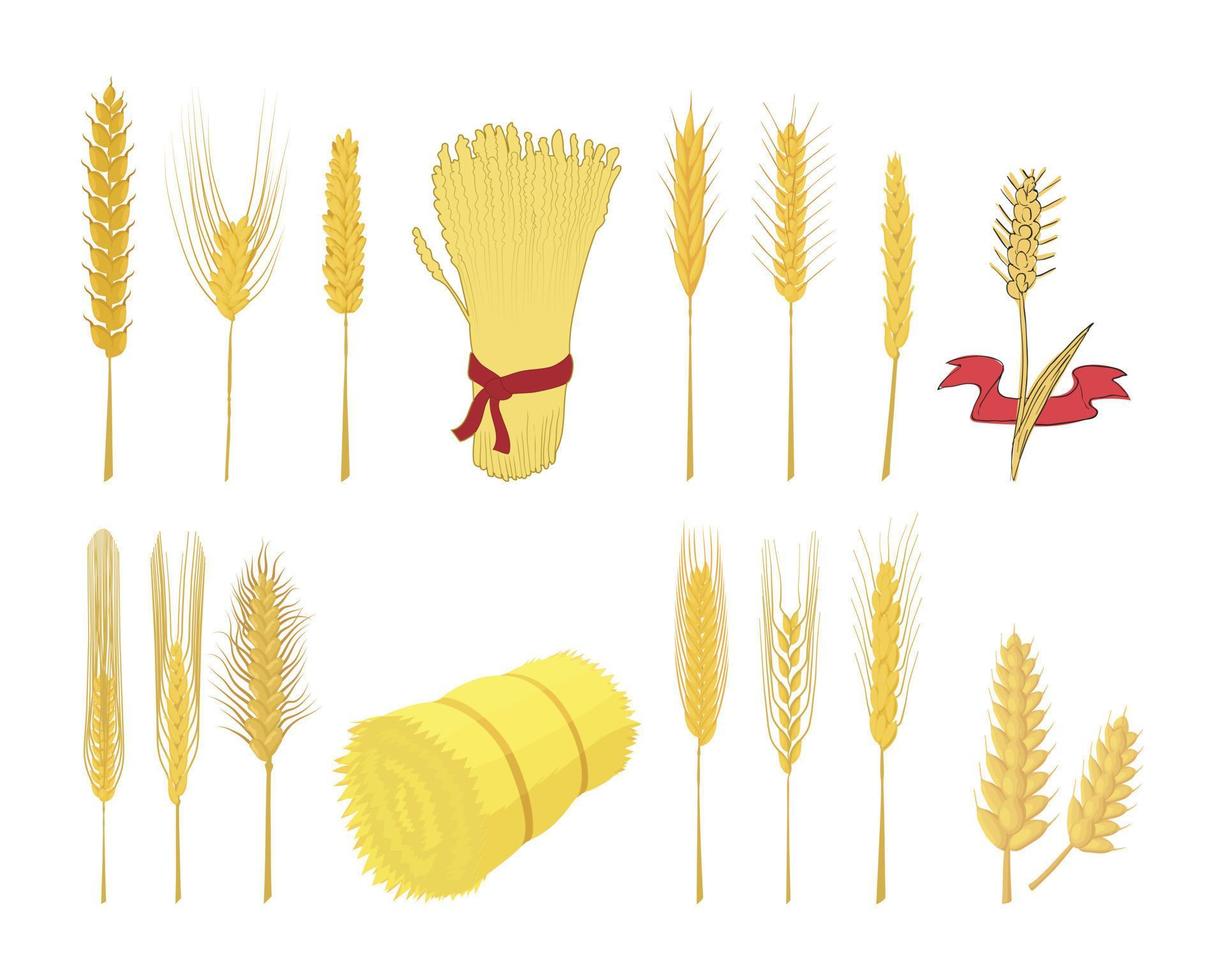 jeu d'icônes de blé, style cartoon vecteur