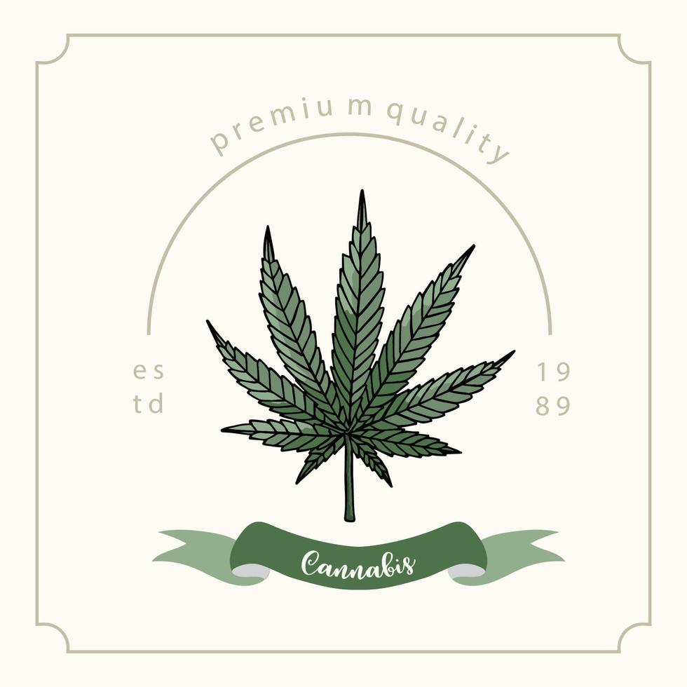 collection de fond de cannabis vert vecteur