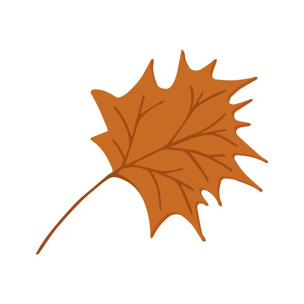 illustration botanique d'une feuille d'érable en orange vecteur