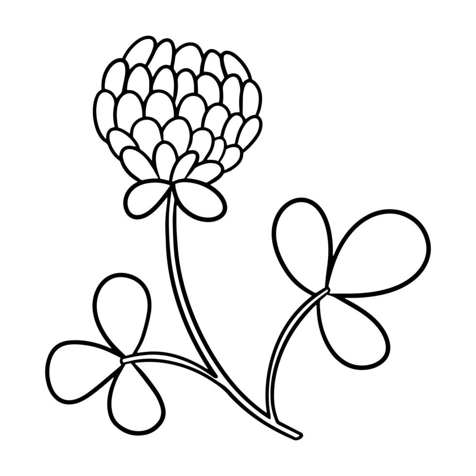 image monochrome, fleur de trèfle avec des feuilles, fleur pour la collecte de miel, illustration vectorielle en style cartoon sur fond blanc vecteur