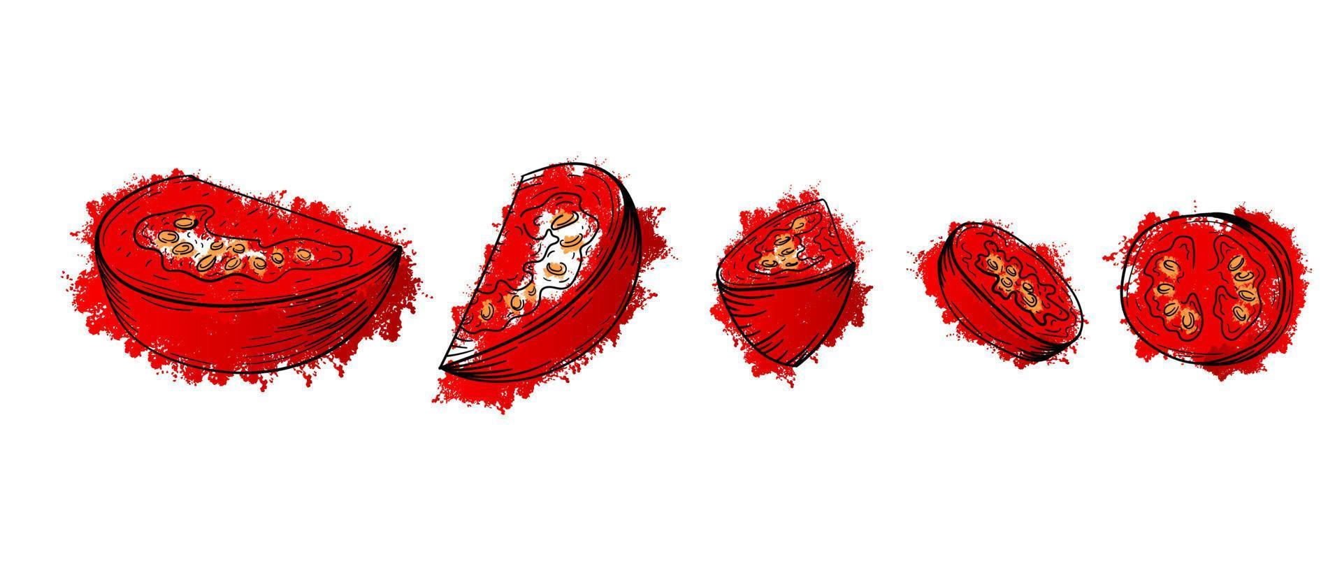 légumes en tranches de tomate. croquis dessinés à la main peinture aquarelle rouge sur fond blanc. pour le menu, l'affiche, la recette de pizza ou de salade. illustration vectorielle graphique de texture grunge vecteur