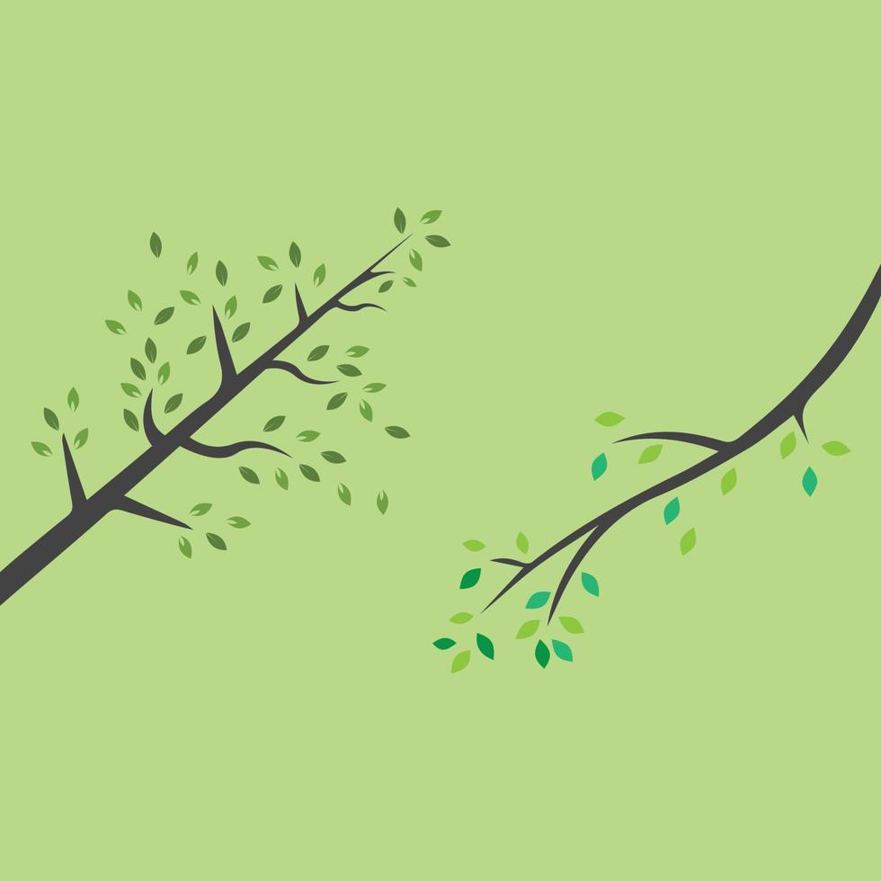 branche de vecteur, illustration dessinée à la main du modèle de conception de branche d'arbre vecteur