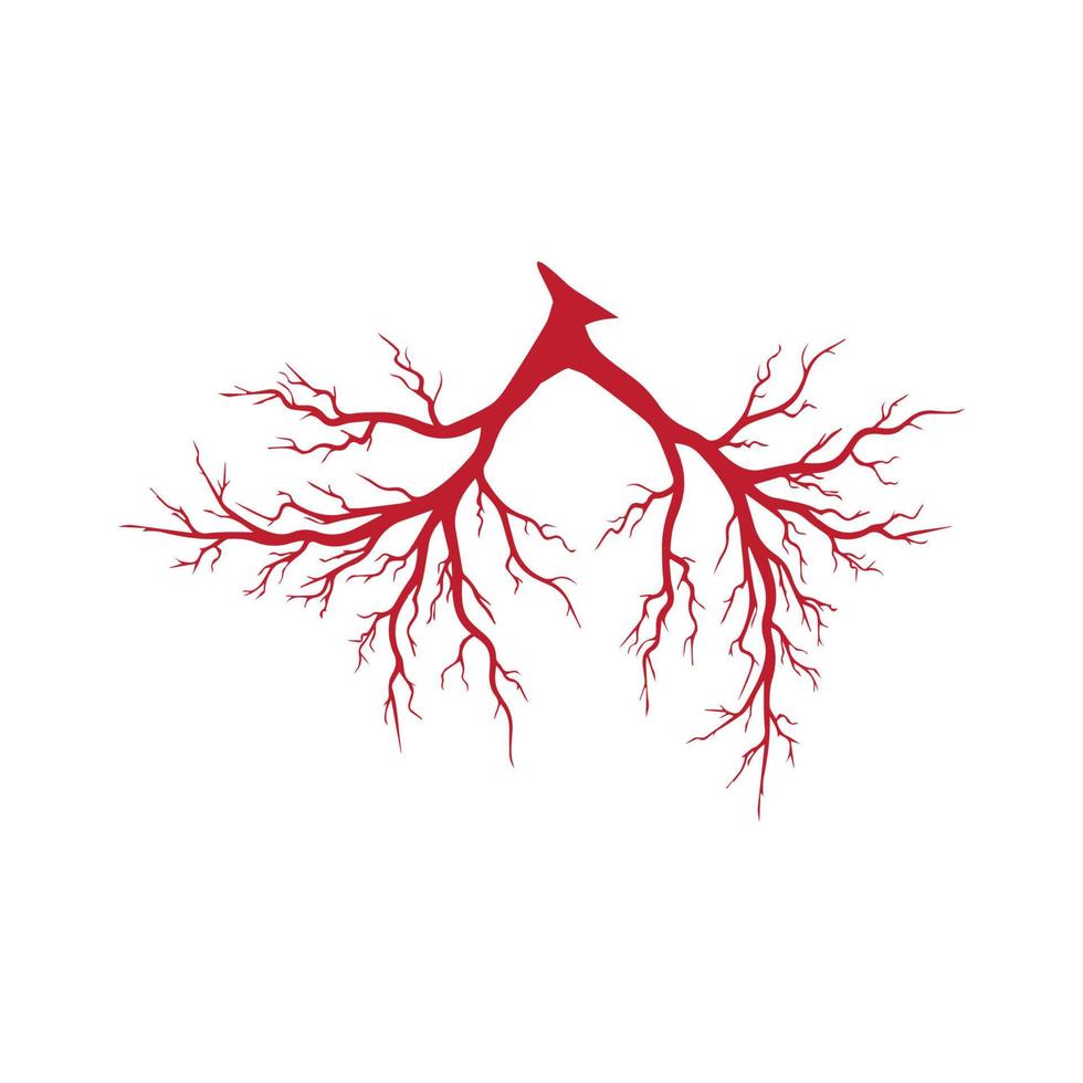 veines humaines, conception de vaisseaux sanguins rouges et illustration vectorielle d'artères isolées vecteur