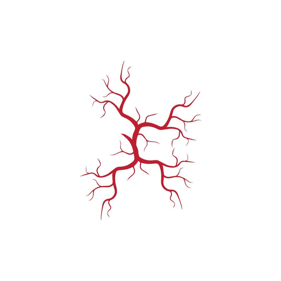 veines humaines, conception de vaisseaux sanguins rouges et illustration vectorielle d'artères isolées vecteur