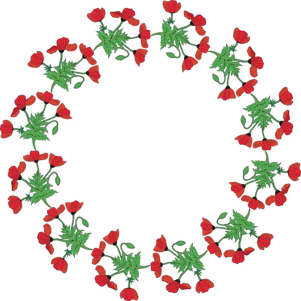 cadre rond avec coquelicots horizontaux colorés, bourgeon de pavot et feuille. couronne isolée de fleurs rouges sur fond blanc pour votre conception vecteur