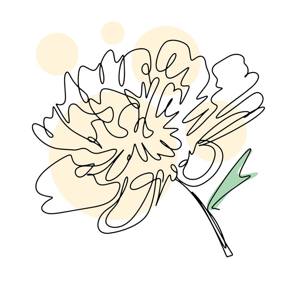 délicate fleur de pivoine en fleurs lineart vecteur isolé