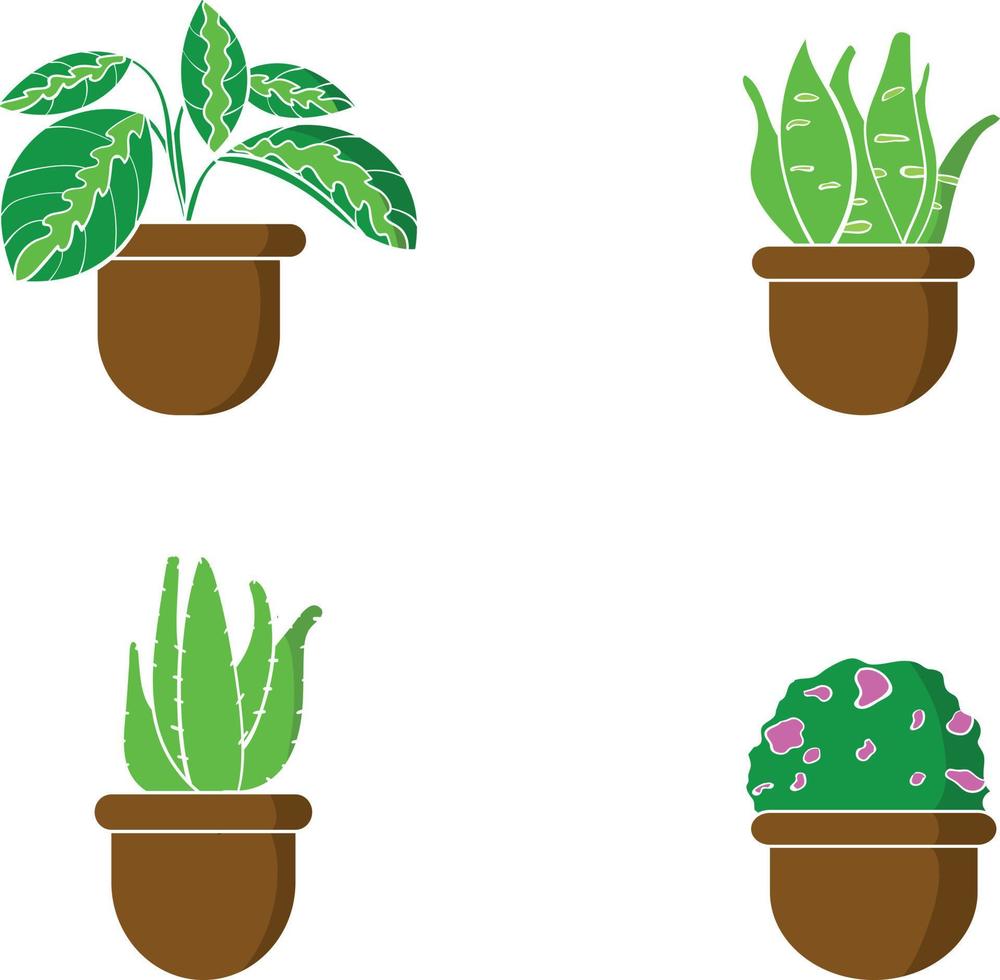 conception isolée de plante dans une icône de vecteur de pot