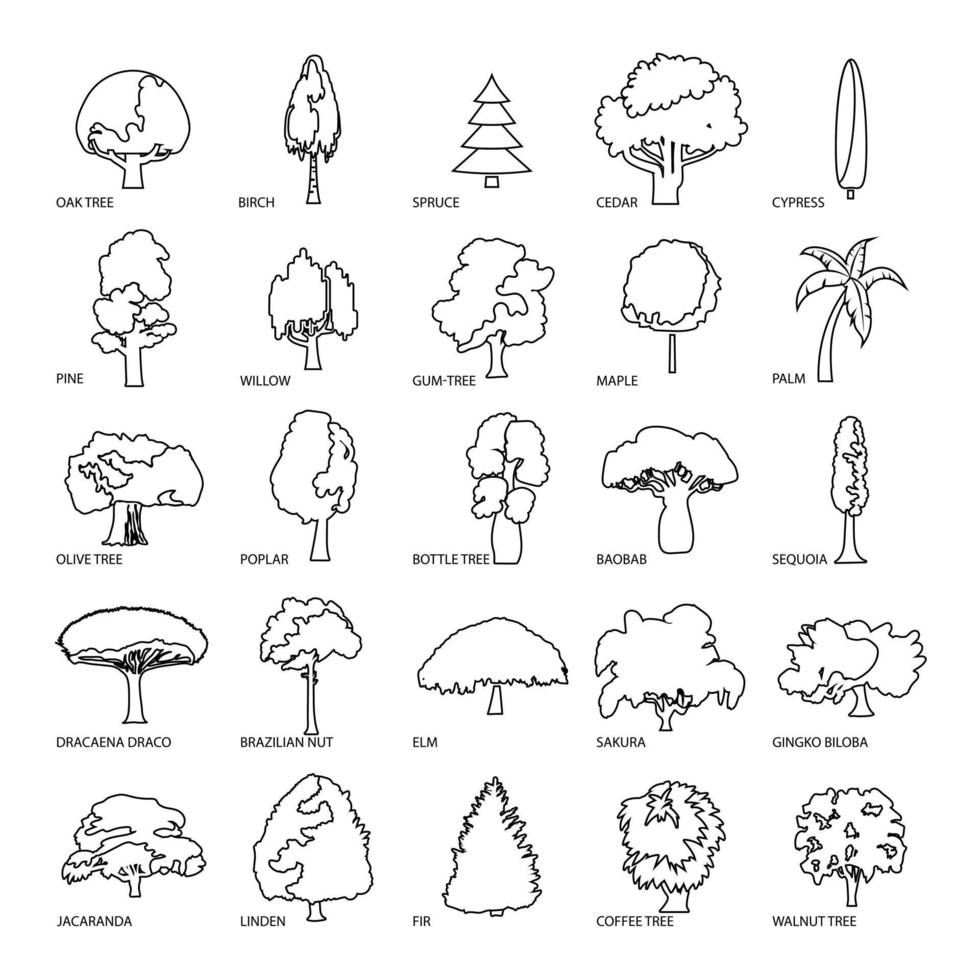 jeu d'icônes de types d'arbres, style de contour vecteur