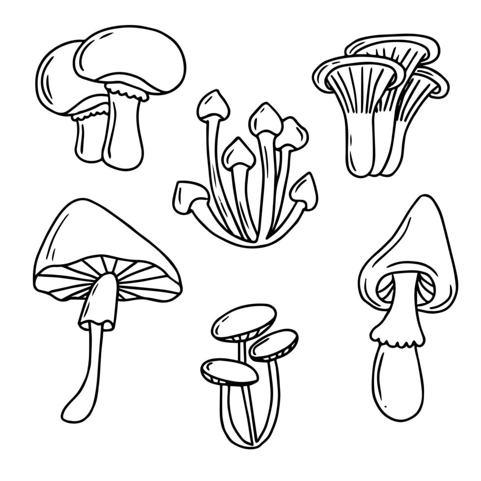 illustration vectorielle de champignon dessinés à la main. collection de champignons dans un style doodle. aliments biologiques frais isolés sur blanc. vecteur